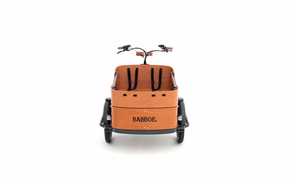 Babboe Curve E Mountain Product 7